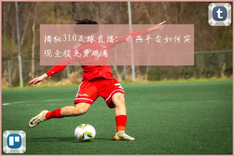 揭秘310足球直播：雨燕平台如何实现全程免费观看